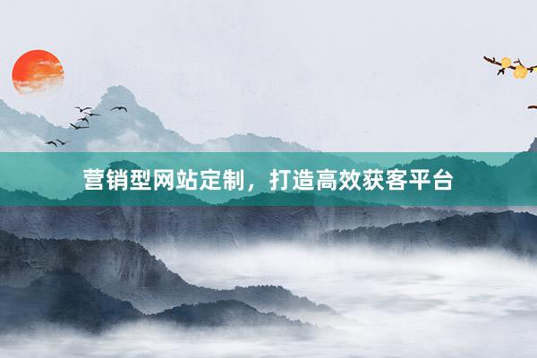 营销型网站定制，打造高效获客平台