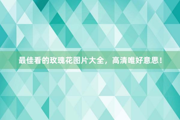 最佳看的玫瑰花图片大全，高清唯好意思！